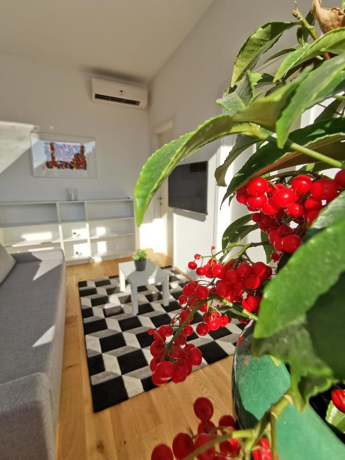 Apartmaji Egis Koper Zewnętrze zdjęcie