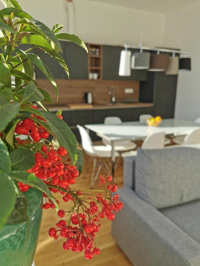 Apartmaji Egis Koper Zewnętrze zdjęcie